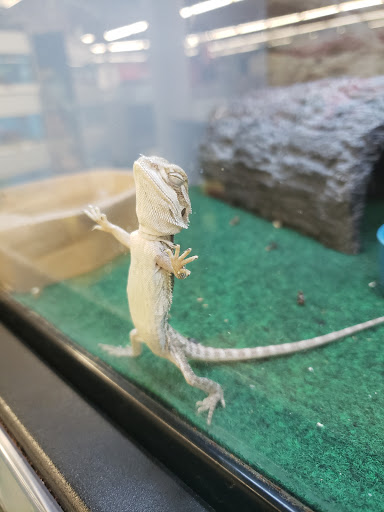Pet Supply Store «Petco Animal Supplies», reviews and photos, 2520 E 3rd St, Bloomington, IN 47401, USA