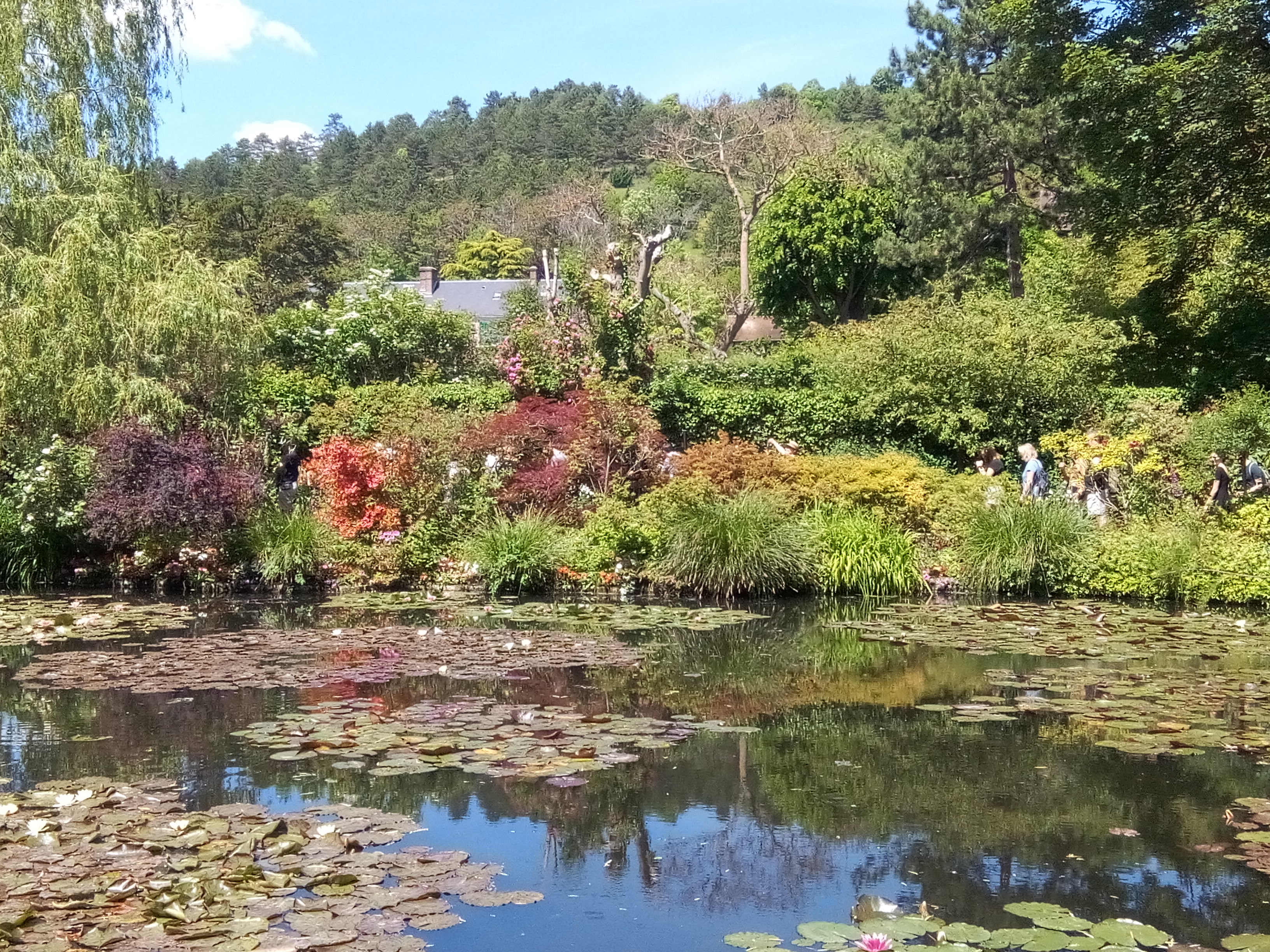 Photo n° 1 de l'avis de M. fait le 02/06/2019 à 08:14