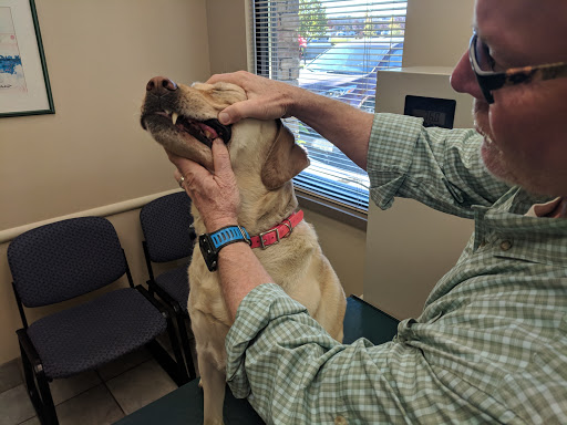 SouthCare Animal Medical Center image