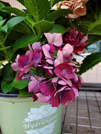 Home Improvement Store «The Home Depot», reviews and photos, 1300-1320 Corporate Dr, Westbury, NY 11590, USA