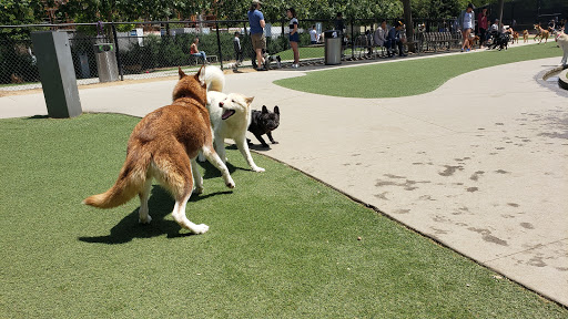 Parques para ir con perros en Los Angeles