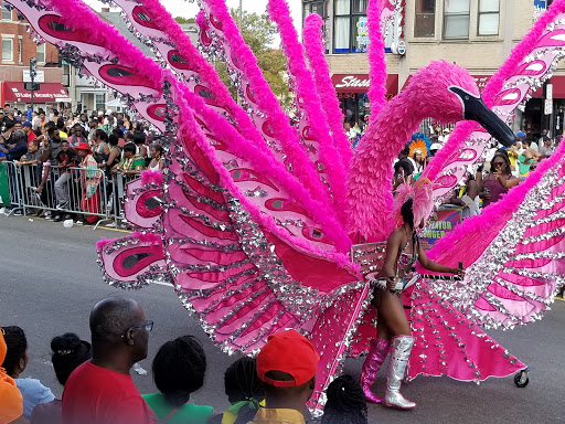 Park «Horatio Harris Park», reviews and photos, 85 Harold St, Boston, MA 02119, USA