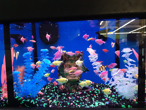 Pet Supply Store «Pet Supplies Plus», reviews and photos, 1380 W Lane Ave, Upper Arlington, OH 43221, USA