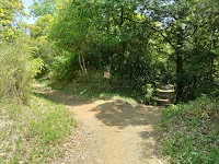 福山登山道 和霊神社口