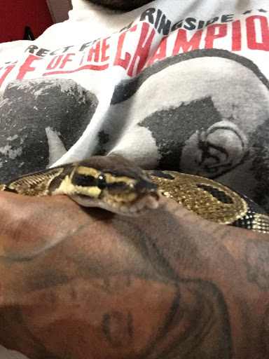 Tattoo Shop «Dr. Tattoo Studio», reviews and photos, 13915 Harbor Blvd, Garden Grove, CA 92843, USA