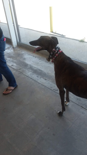 Pet Supply Store «Centinela Feed & Pet Supplies», reviews and photos, 22840 Hawthorne Blvd, Torrance, CA 90505, USA