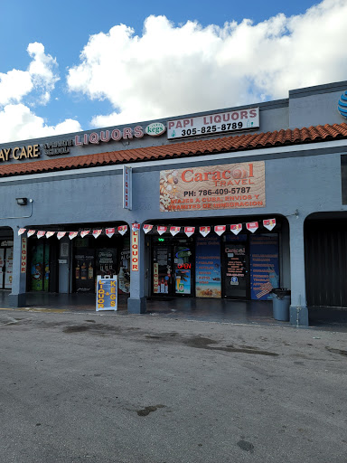 PAPI LIQUORS and KEGS, 1446 W 49th St, Hialeah, FL 33012, USA, 