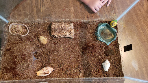 Pet Supply Store «Petco Animal Supplies», reviews and photos, 5239 Harvey St, Norton Shores, MI 49444, USA