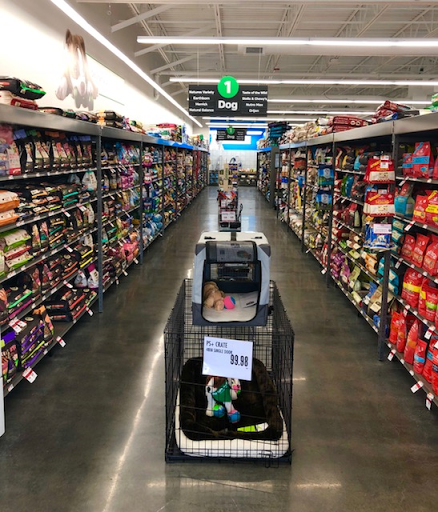 Pet Supplies Plus Edmond (Kickingbird