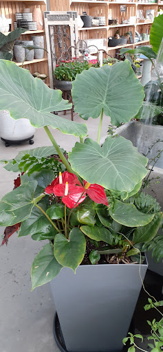 Home Improvement Store «Longeneckers True Value», reviews and photos, 127 Doe Run Rd, Manheim, PA 17545, USA