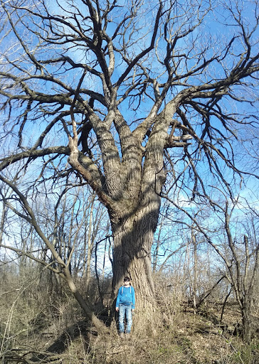 Golf Course «Turkey Creek Golf Course», reviews and photos, 6400 Harrison St, Merrillville, IN 46410, USA