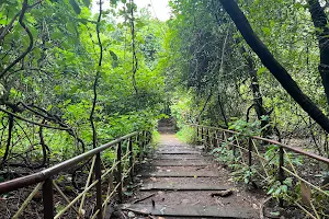 BNHS Nature Reserve image