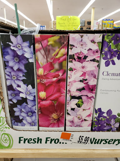 Discount Store «Ocean State Job Lot», reviews and photos, 360 Market St, Rockland, MA 02370, USA