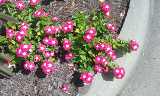 Car Repair and Maintenance «AAA Chesapeake Car Care Center», reviews and photos, 1023 Battlefield Blvd S, Chesapeake, VA 23322, USA