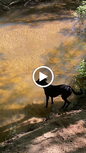 Ice Skating Rink «Pavilion Recreation Complex», reviews and photos, 400 Scottswood Rd, Taylors, SC 29687, USA