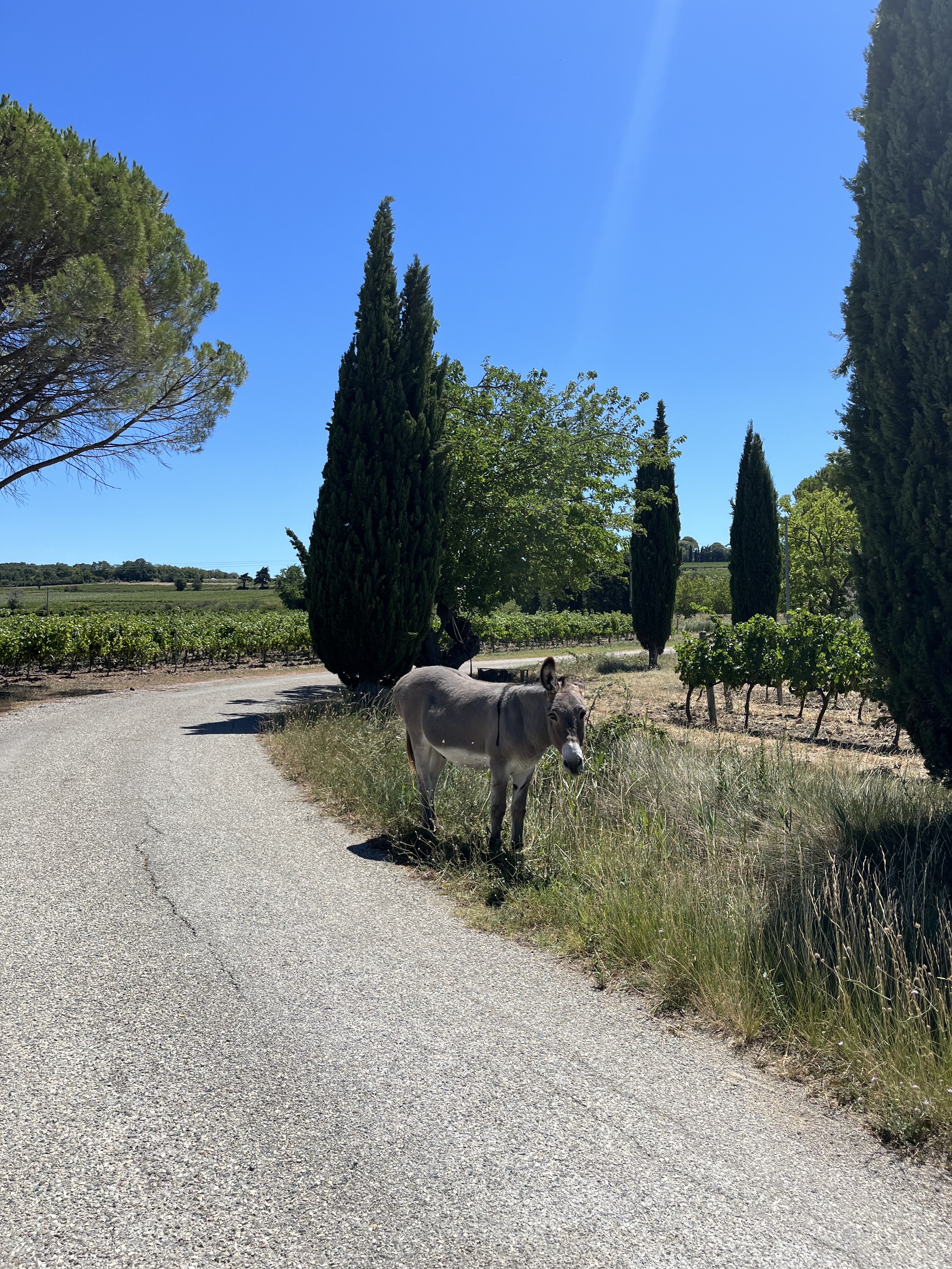 Photo n° 1 de l'avis de Irina.m fait le 27/10/2023 à 15:38