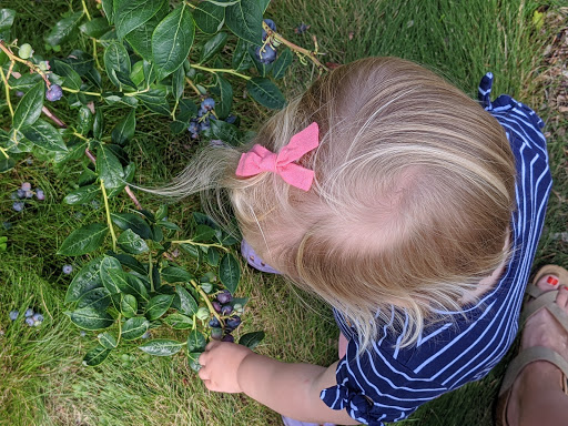 Farm «Vandervalk Farm & Winery», reviews and photos, 25 Lovell St, Mendon, MA 01756, USA