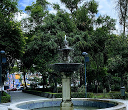 Graphic Arts Garden photo