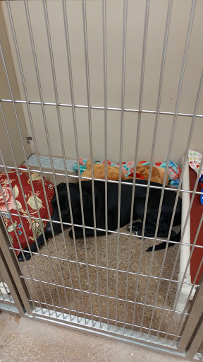 Pet Supply Store «PetSmart», reviews and photos, 1945 Pavilion Way, Lexington, KY 40509, USA