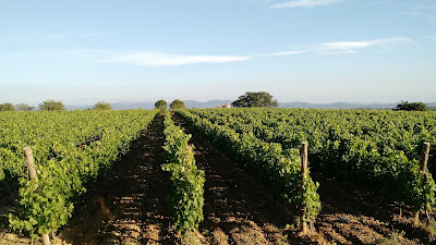 Domaine des Capriers à Puissalicon