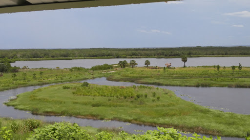 Nature Preserve «Cockroach Bay Aquatic Preserve», reviews and photos, 3839 Gulf City Rd, Ruskin, FL 33570, USA