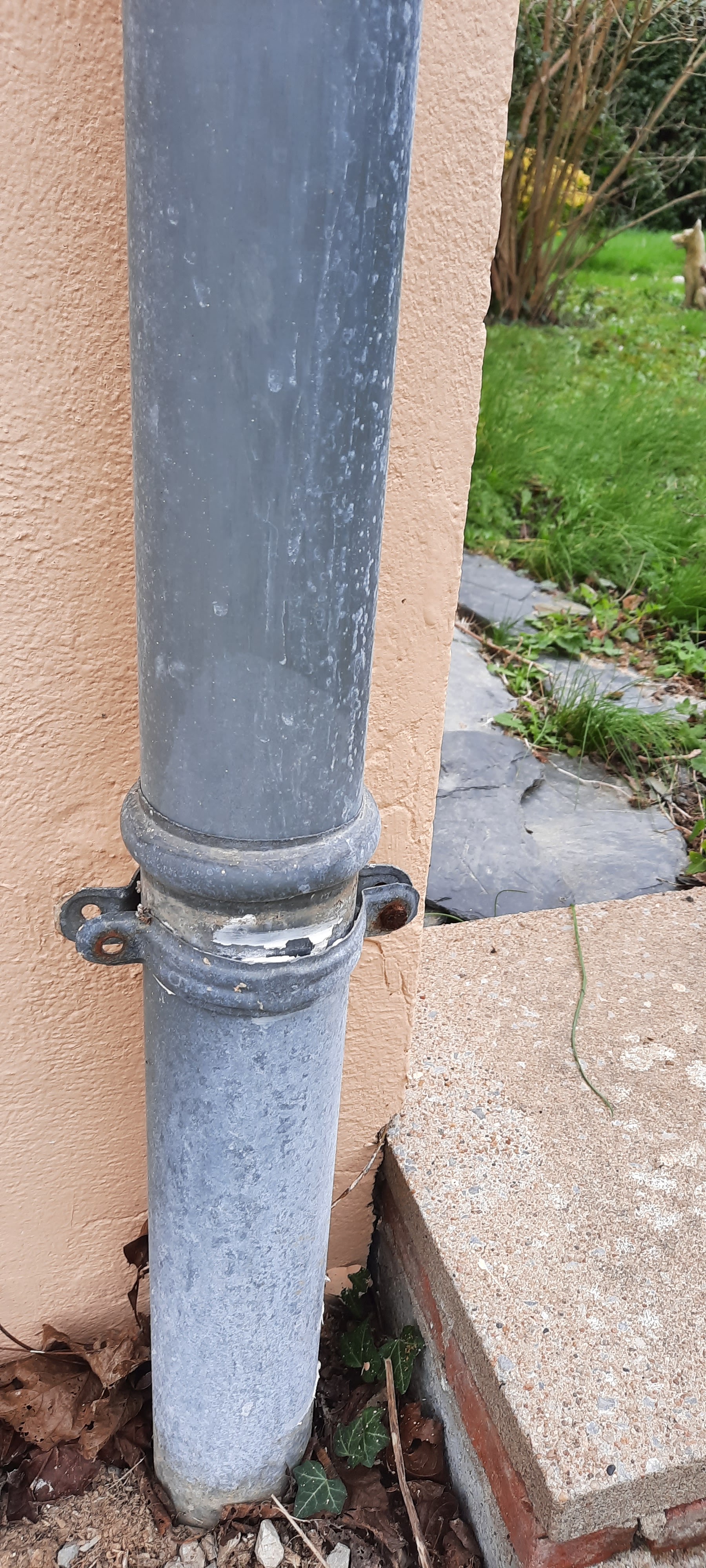 Photo n° 5 de l'avis de M.i fait le 28/03/2024 à 07:12