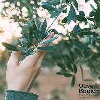 Olive Branch Nutrition | Individualized Nutrition Counseling for Eating Disorders - Photo 3 - Car repair in New York, NY, Manhattan