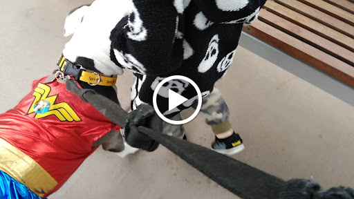 Computer Store «Apple Partridge Creek», reviews and photos, 17360 Hall Rd, Charter Twp of Clinton, MI 48038, USA