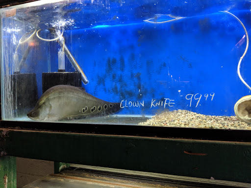 Pet Supply Store «Monrovia Tropical Fish», reviews and photos, 603 W Huntington Dr, Monrovia, CA 91016, USA