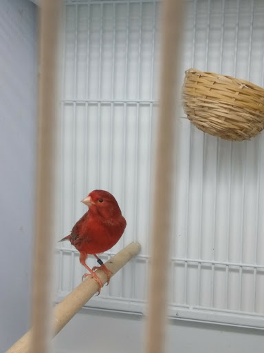 Pet Supply Store «Pet Supplies Plus», reviews and photos, 1235 Shaw Ave, Clovis, CA 93612, USA