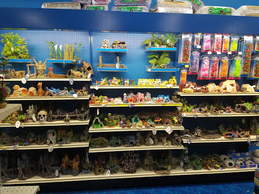 Pet Supply Store «Pet Supermarket, Inc.», reviews and photos, 1304 Precinct Line Rd, Hurst, TX 76053, USA