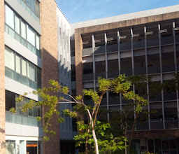 UMA Presidencia Municipal photo