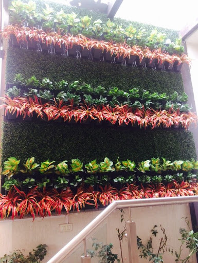 Vertical garden Delhi