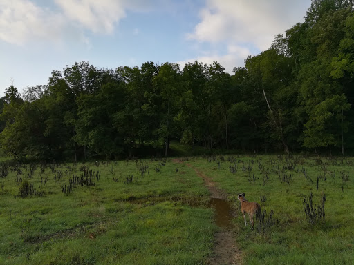 Horseback Riding Service «Long C Trails», reviews and photos, 8959 Hanes Rd, Westmoreland, TN 37186, USA