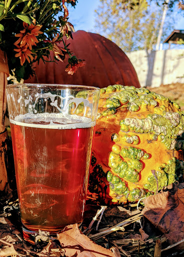 Brewery «Frog Level Brewing Co», reviews and photos, 56 Commerce St, Waynesville, NC 28786, USA