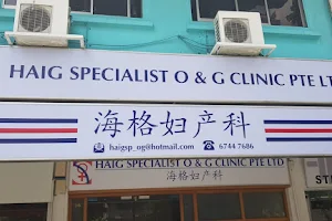 Haig Specialist O & G Clinic Pte Ltd image