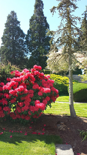 Funeral Home «Acacia Memorial Park & Funeral Home», reviews and photos, 14951 Bothell Way NE, Seattle, WA 98155, USA