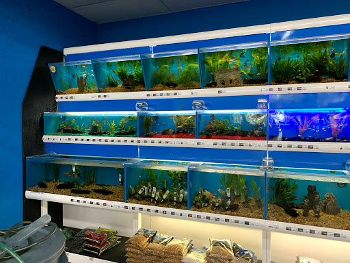 Pet Supply Store «Pet Supermarket», reviews and photos, 1125 Royal Palm Beach Blvd, Royal Palm Beach, FL 33411, USA