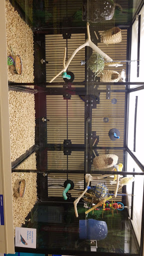 Pet Supply Store «PetSmart», reviews and photos, 901 US-1, North Brunswick Township, NJ 08902, USA