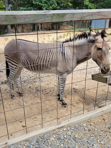 Zoo «Gators and Friends», reviews and photos, 11441 US-80, Greenwood, LA 71033, USA