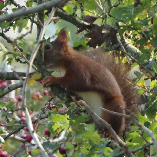 Photo n° 4 de l'avis de Agnes.i fait le 03/11/2020 à 18:02