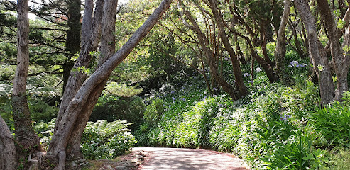 Northern Walkway trailhead - Botanic Garden