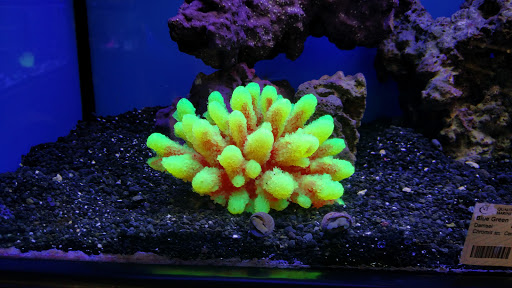 Pet Supply Store «Drs. Foster and Smith», reviews and photos, 2423 Air Park Rd, Rhinelander, WI 54501, USA