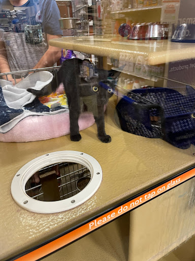 Pet Supply Store «PetSmart», reviews and photos, 1140 W Elliot Rd, Tempe, AZ 85284, USA