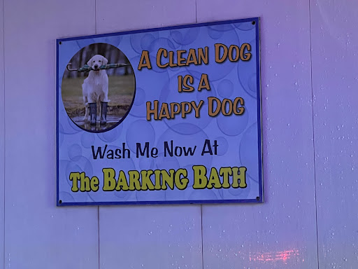 Car Wash «Buggy Car Wash», reviews and photos, 51 Middletown Ave, New Haven, CT 06513, USA