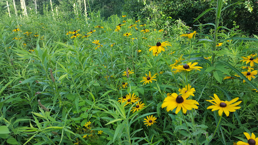 Bird Watching Area «Haehnle Sanctuary», reviews and photos, Seymour Rd, Pleasant Lake, MI 49272, USA