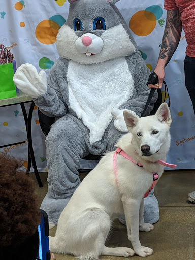 Pet Supply Store «PetSmart», reviews and photos, 4794 Jimmy Lee Smith Pkwy #108, Hiram, GA 30141, USA