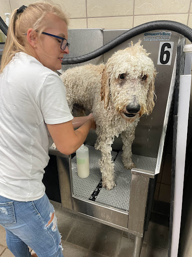 Pet Supply Store «Pet Supplies Plus», reviews and photos, 180 N Randall Rd, North Aurora, IL 60542, USA