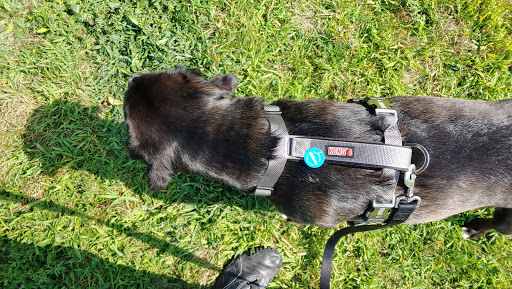 Pet Supply Store «PetSmart», reviews and photos, 540 New York Ave, Lyndhurst, NJ 07071, USA