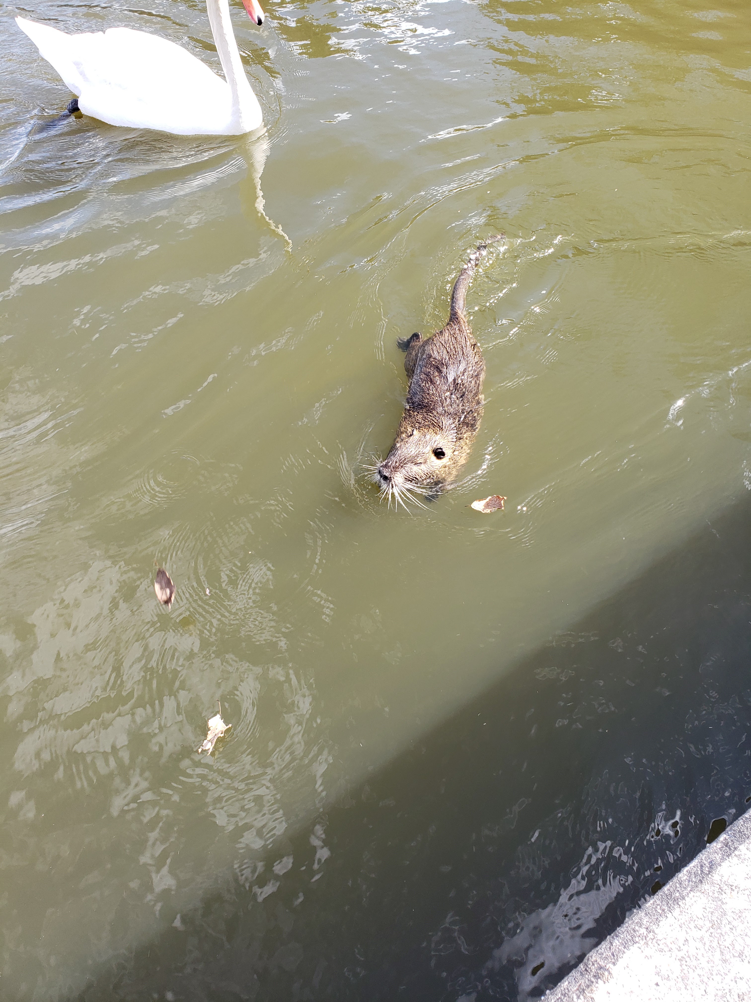 Photo n° 1 de l'avis de Tewfik.a fait le 27/05/2019 à 19:49